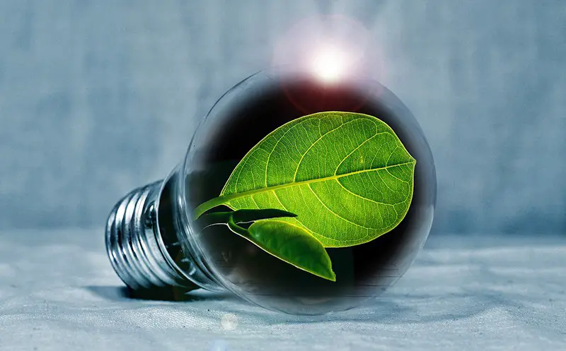 6 Ways to Green Up Your Business
