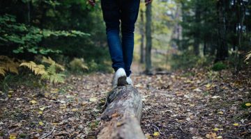 Balancing Risk and Reward In Business