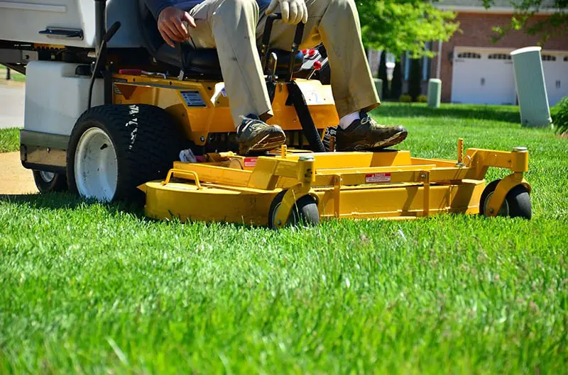 lawn care business