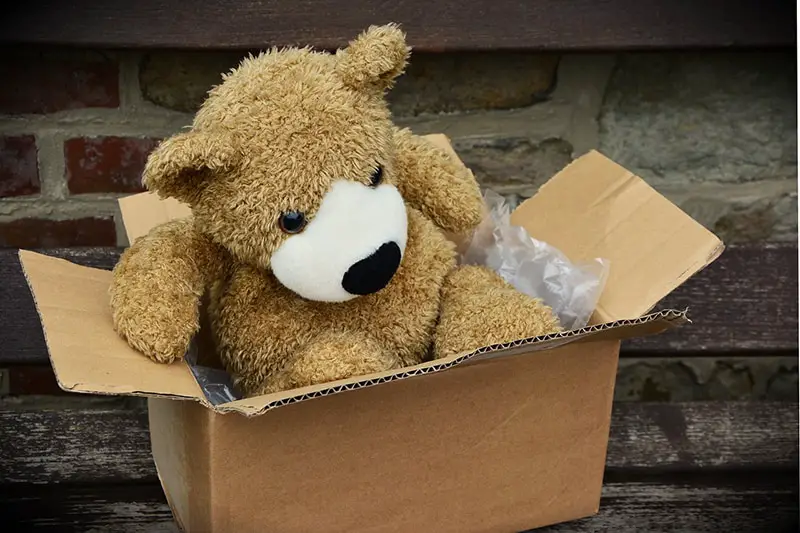 Teddy bear in cardboard box packaging for shipping - package
