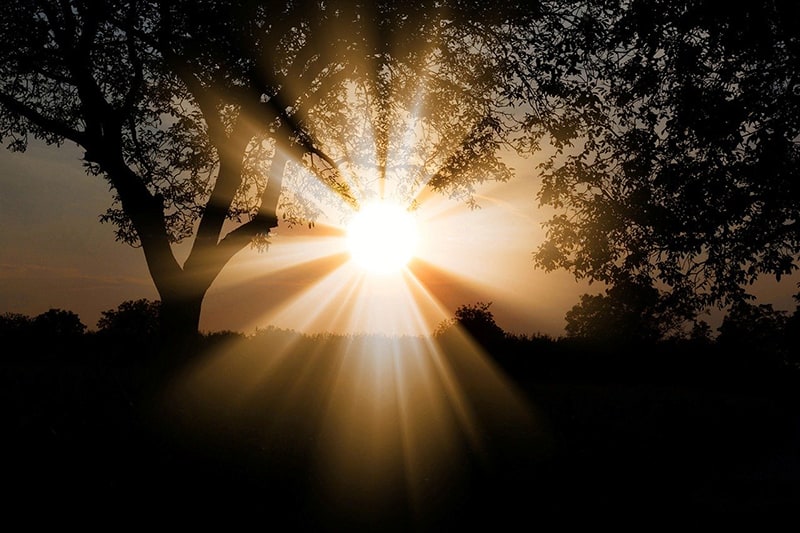 Dawn Of A New Year Time To Make Plans Business Partner Magazine business partner magazine