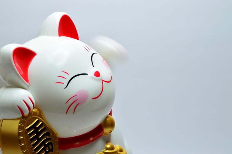 Japenese lucky coin cat