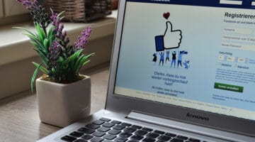 Laptop near the plant