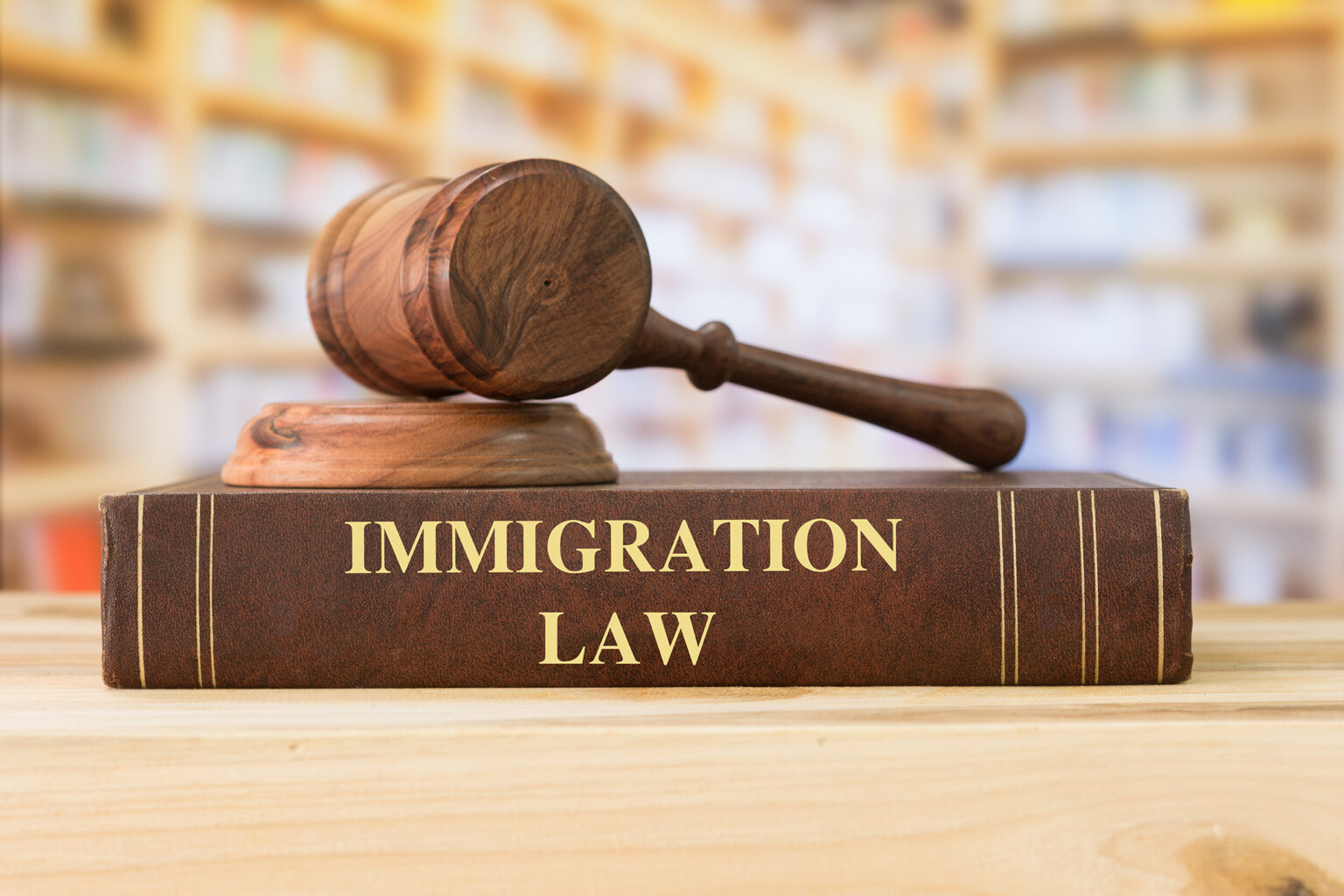 All You Need to Know About Immigration Law Business Partner Magazine
