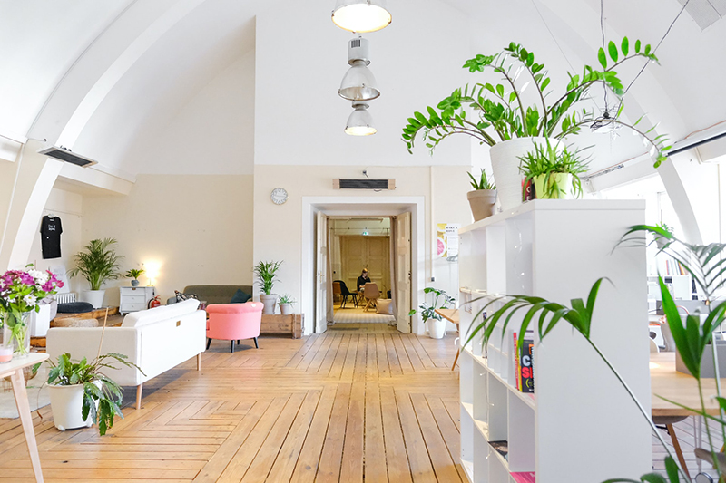 fresh looking living room with indoor plants