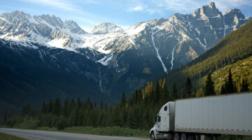 White dump truck near pine trees