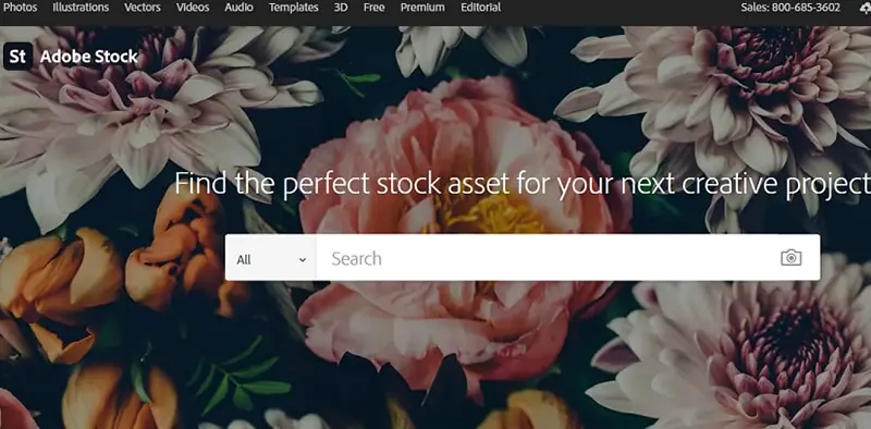 Adobe Stock home screen