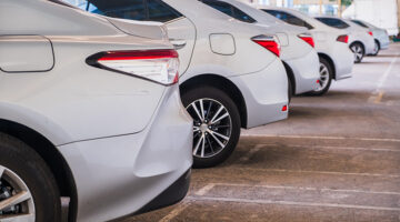 Back rear of white cars