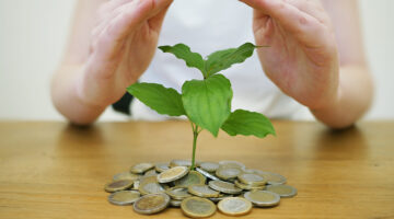Coins and small plant on top of brown wooden table