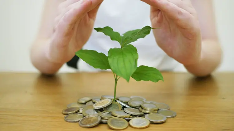 Coins and small plant on top of brown wooden table