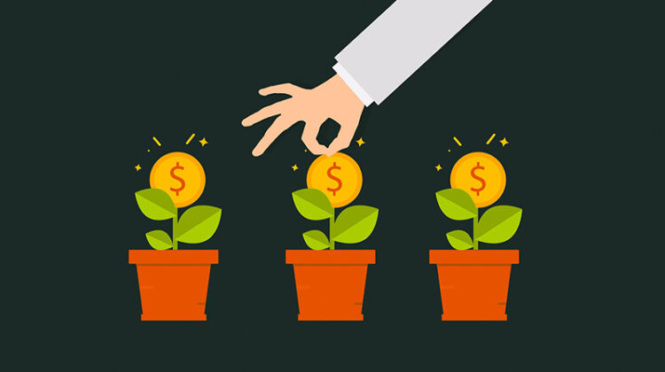 Money grow illustration