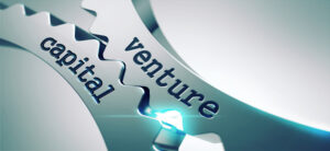 legal entity of venture capital company