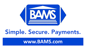 BAMS company logo