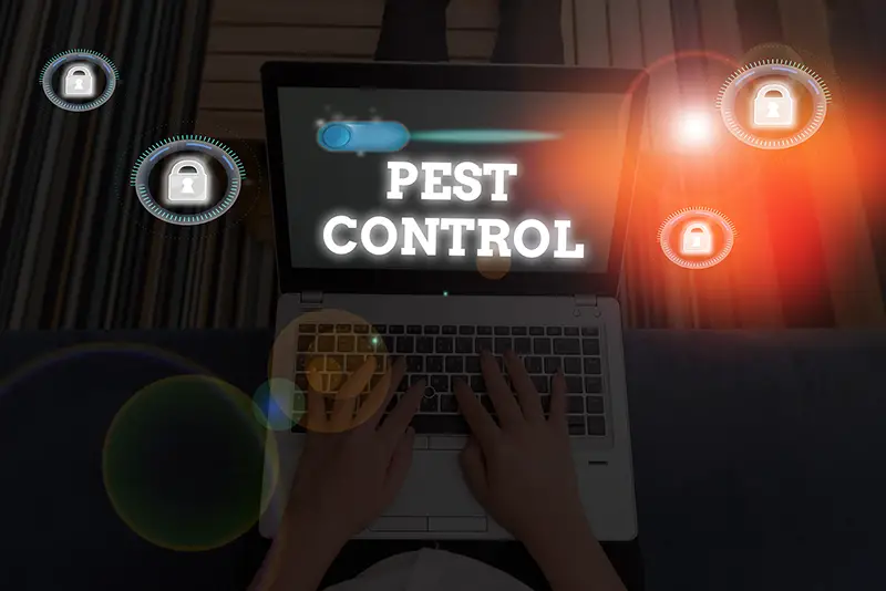 Words Pest control on laptop computer screen