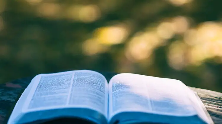 Opened book selective focus