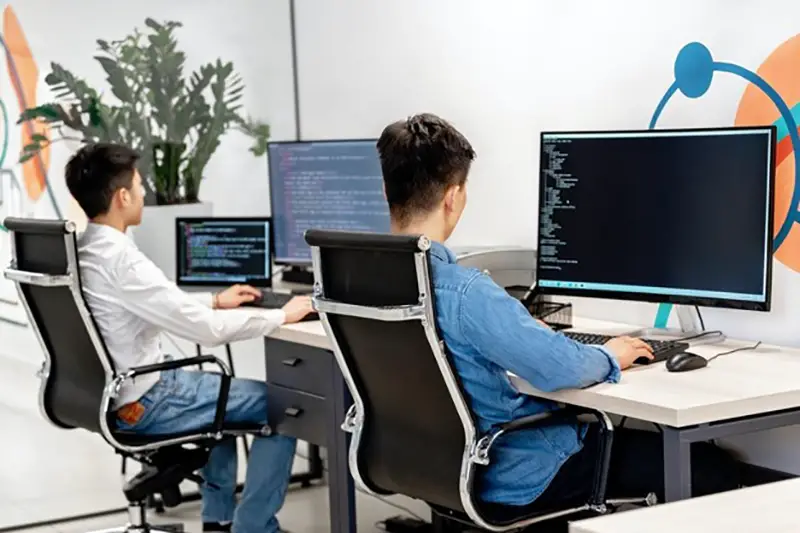 Two young male working in front of their computer