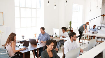 Young business colleagues working at computers in an office