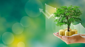 Human hands save holding golden coin stack and small tree