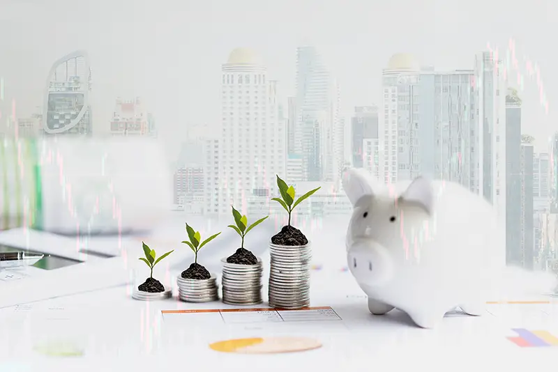 Piggy and the tree growing on money coin stack for investment 