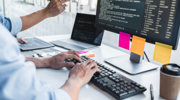 Professional programmer working on web site project