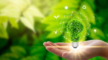 Hand holding light bulb against nature on green leaf