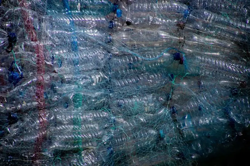 Clear plastic bottled for recycling