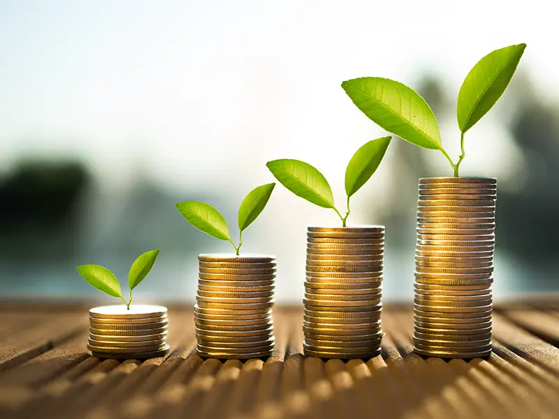 coins and money growing plant for finance concept