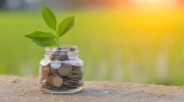 Coins and plant inside glass jar