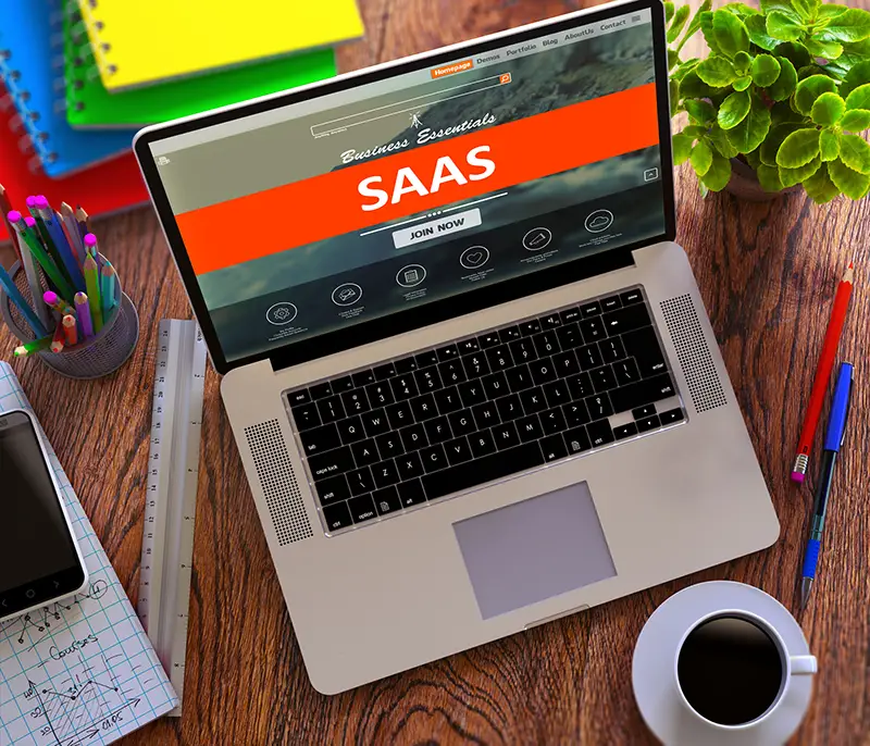 SaaS E-Business Concept