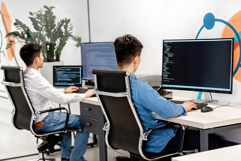Software developer training