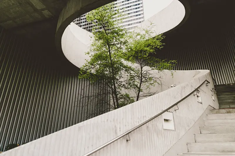 green plants near building concrete stair