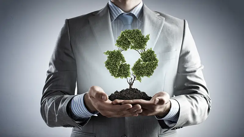 How Can Your Business Start-Up Be Eco-Friendly From The Very Start ...