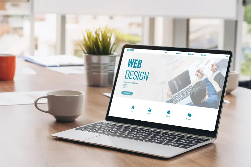 Website design software provide modish template for online retail business and e-commerce