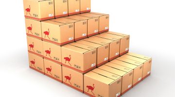 cardboard boxes