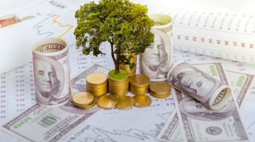The tree is growing both on the progress of money and financial reports