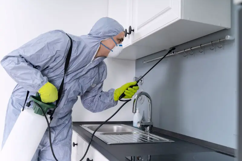 Side View Of Exterminator In Workwear Spraying Pesticide In Kitchen