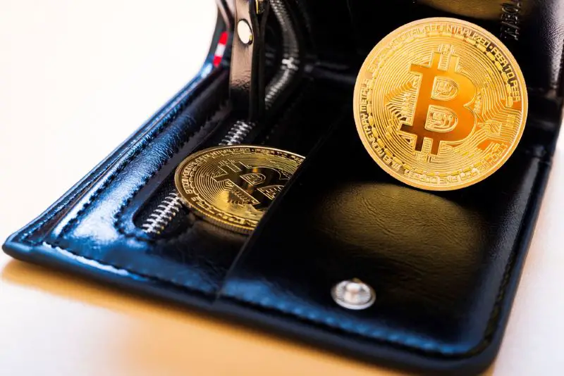 Wallet and bitcoin coin – depicting a cryptocurrency wallet. The concept of buying and selling cryptocurrency. Cryptocurrency income.