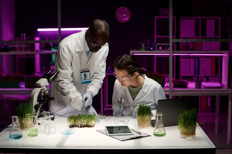 Biologists Working as Team on Lab-Grown Plant Sample