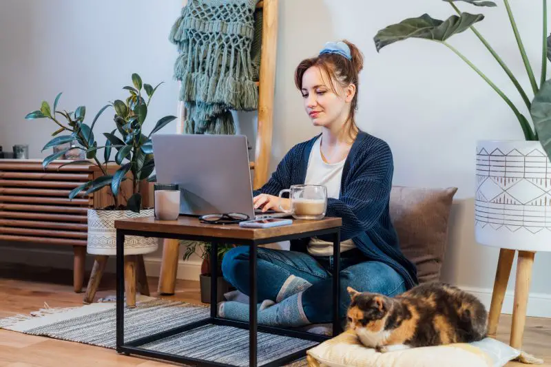Woman using laptop while sitting on floor cushions with sleeping cat pet.