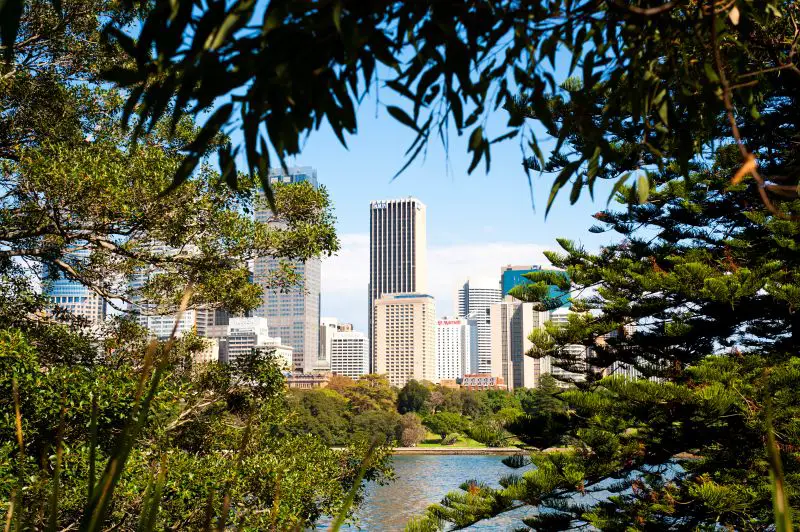 View of Sydney CBD from Sydney Royal Botanic Gardens, Australia