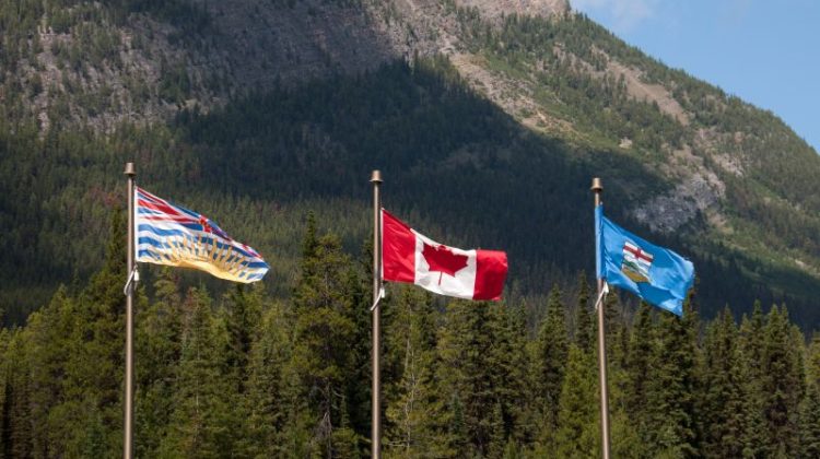 Flags Against Mountain and Evergreen Forest