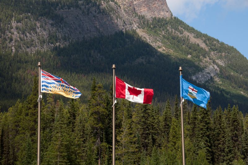 Flags Against Mountain and Evergreen Forest