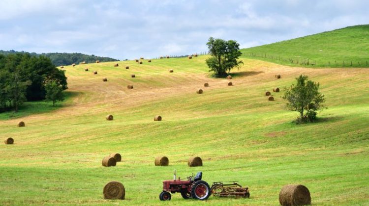 A vintage red tractor sits between large round hay bales on rolling hills under a bright sky.
