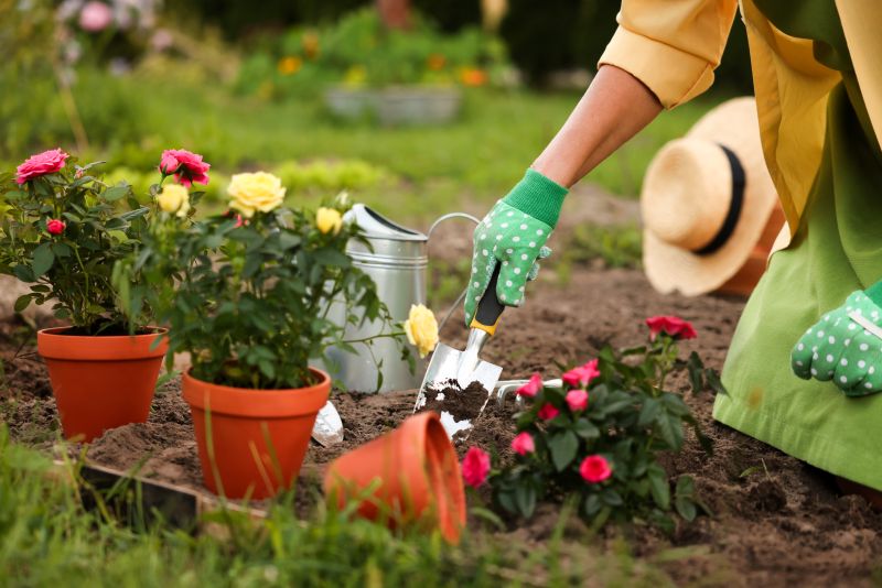 Woman in gloves working in the garden with tools in garden, closeup. Transplanting beautiful flowers.