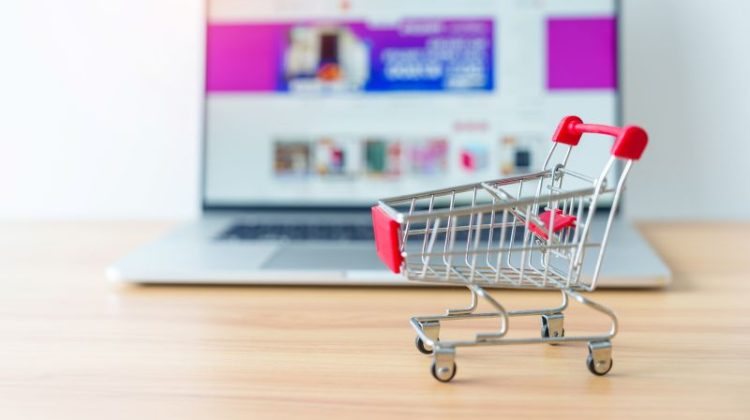 Online Shopping with a Small Shopping Cart